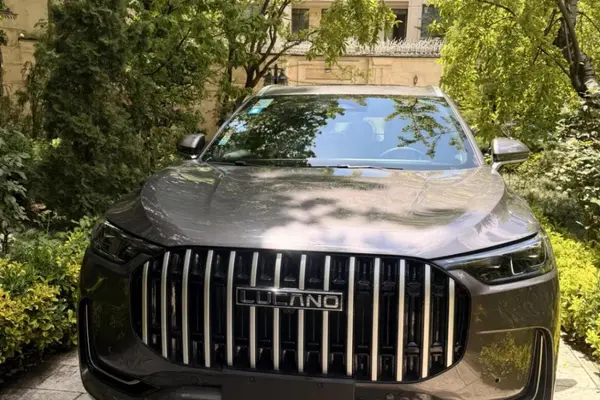 عکس لوکانو L8