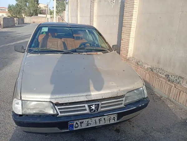 پژو 405