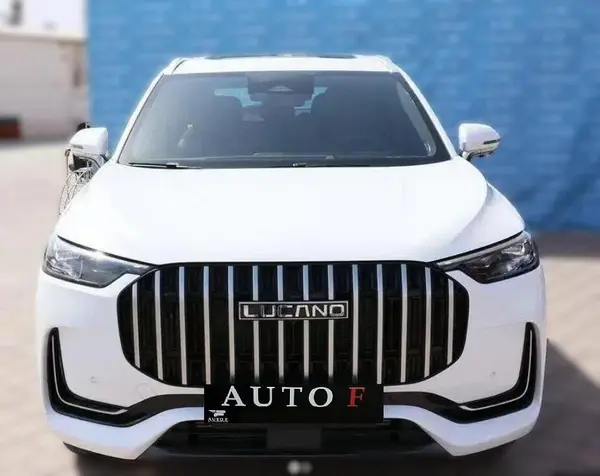 عکس لوکانو L8