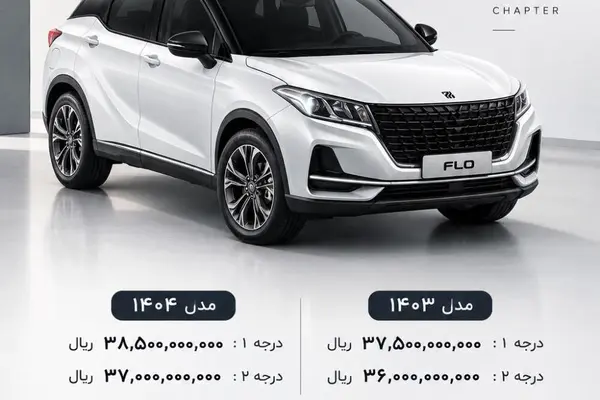 لاماکو فلو