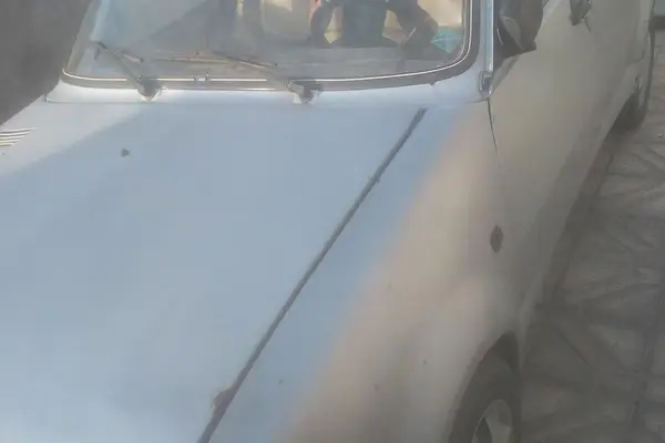 رنو سپند