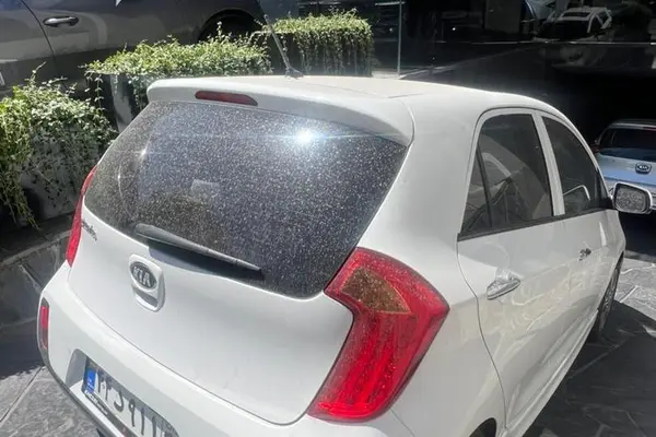 کیا پیکانتو