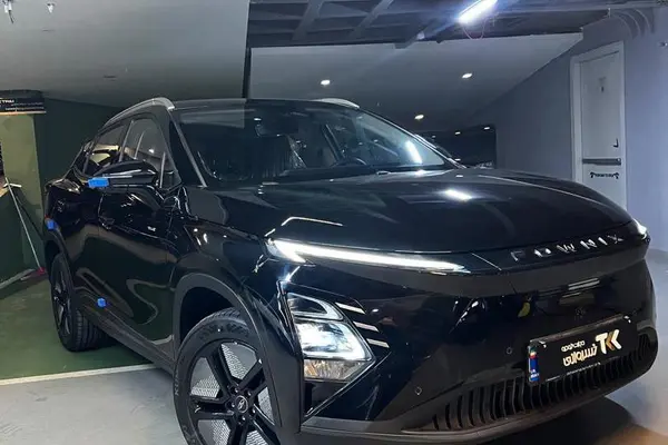 فونیکس FX