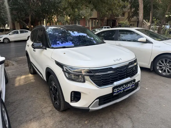 کیا سلتوس