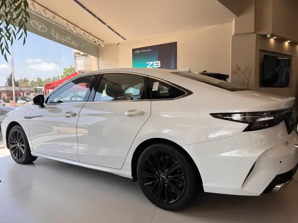 عکس فونیکس آریزو 8 (Z8)