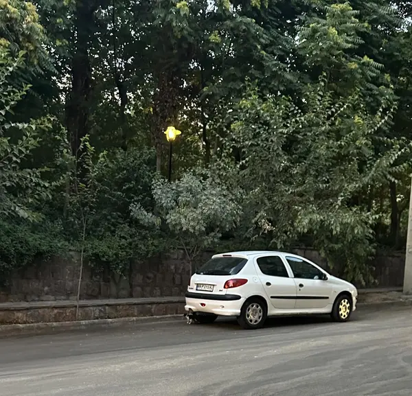 پژو 206
