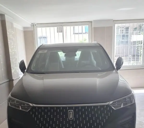 عکس بستیون T77
