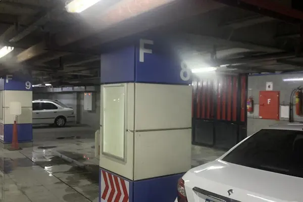 دنا پلاس EF7