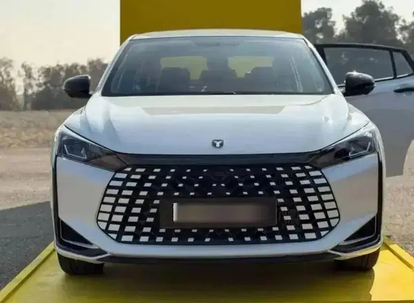 عکس لاماری اکو