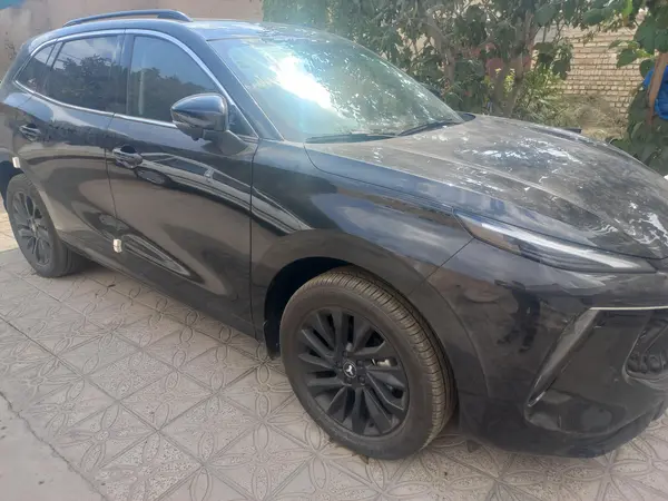 لاماری ایما