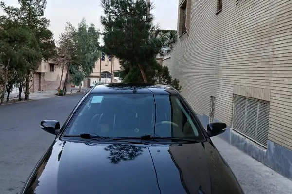 دنا معمولی