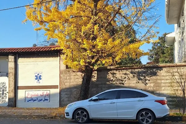 چری آریزو 5T