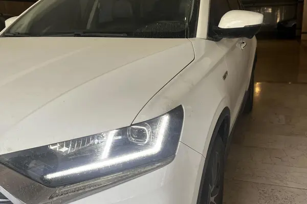 اس دبلیو ام G01