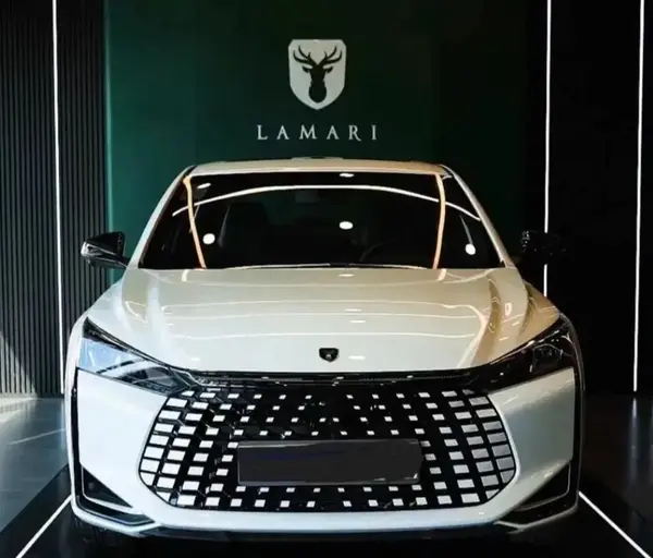 لاماری اکو