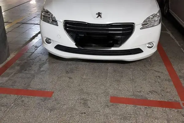 پژو 301