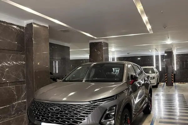 فونیکس FX