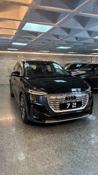Q5 e-tron