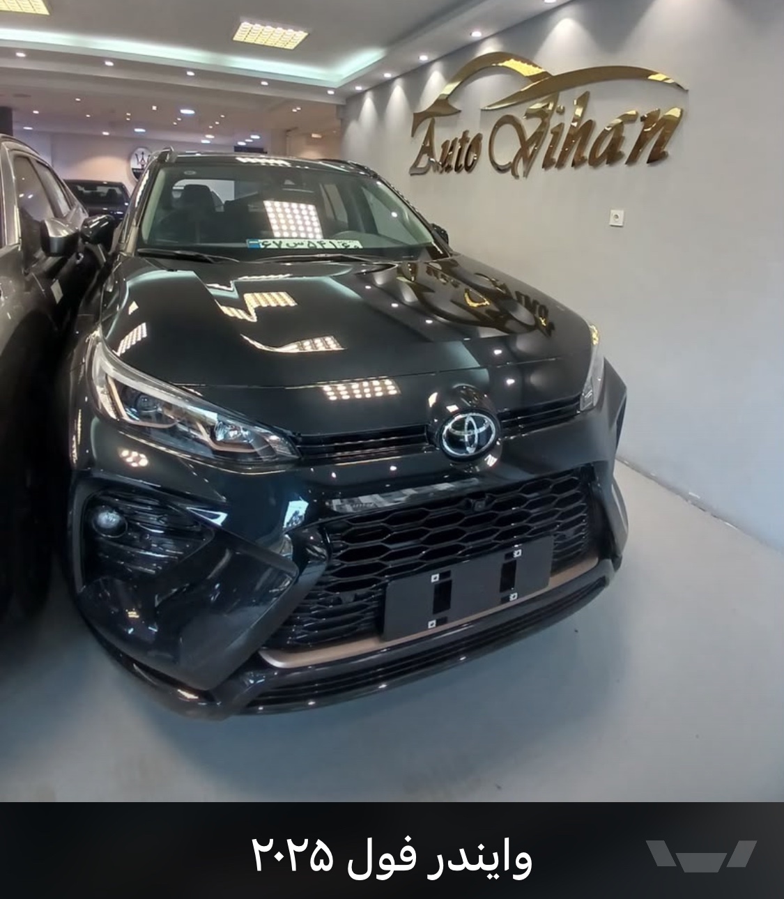وایلدلندر