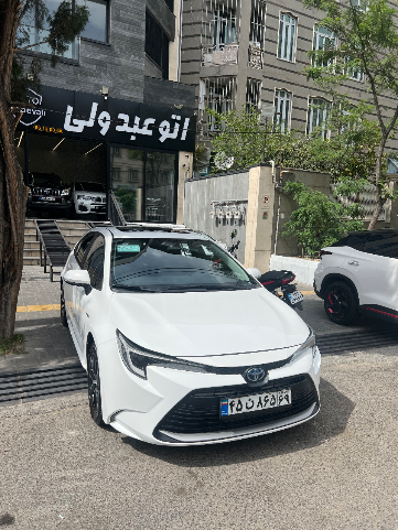 لوین هیبرید