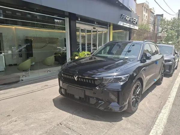 وویا فری