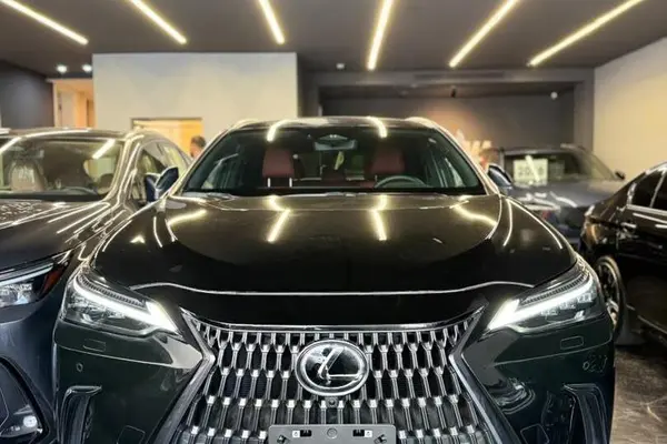 لکسوس NX