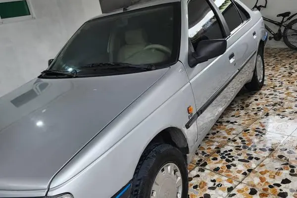 عکس پژو 405