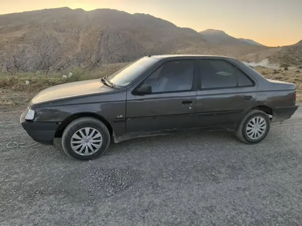پژو 405