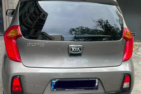 عکس کیا پیکانتو