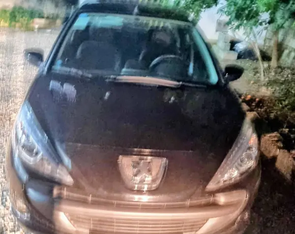 عکس پژو 207