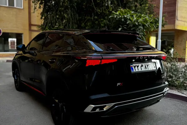 فونیکس FX