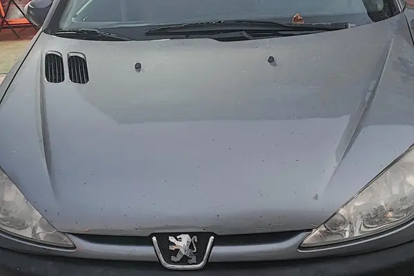 پژو 206 SD