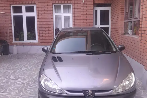 پژو 206 SD