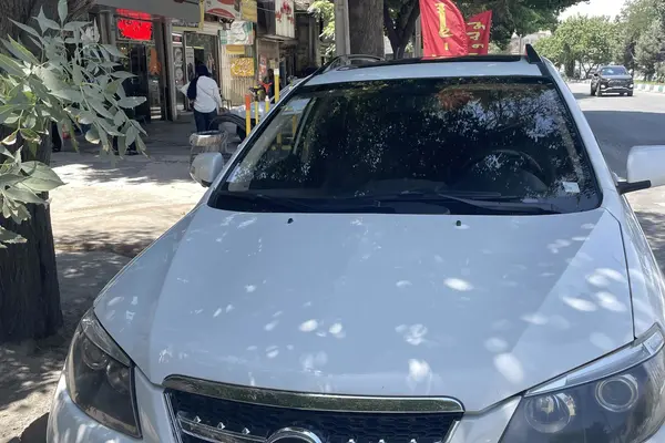بی وای دی S6
