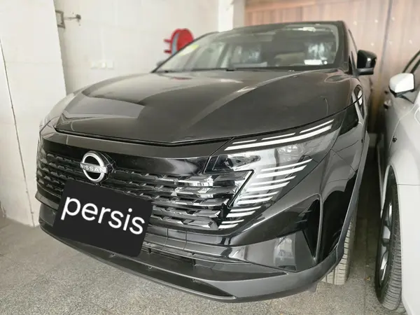 عکس نیسان قشقایی