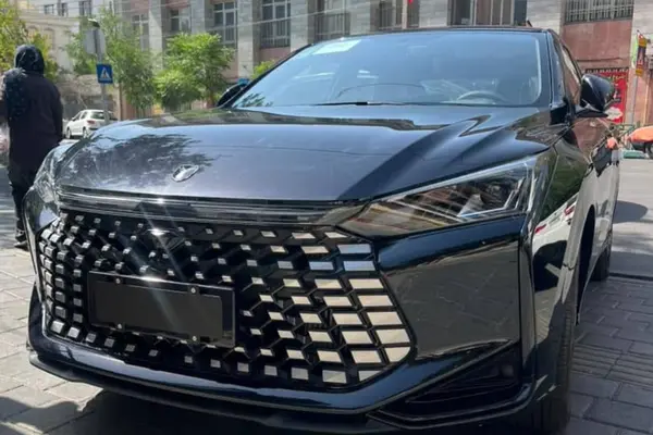 لاماری اکو