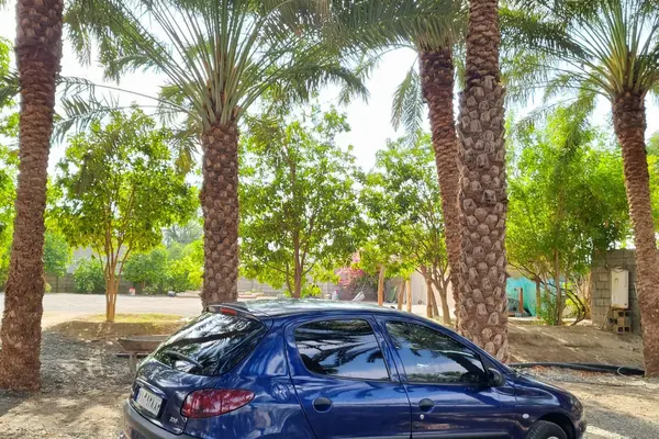 پژو 206