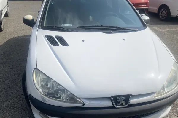 پژو 206 SD