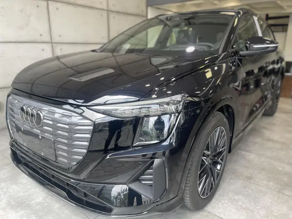 Q5 e-tron