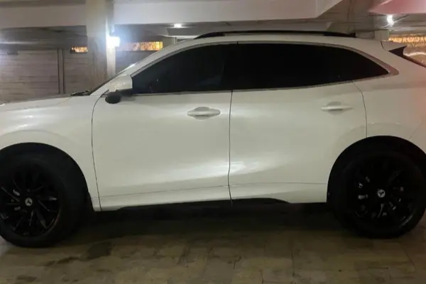 عکس لاماری ایما
